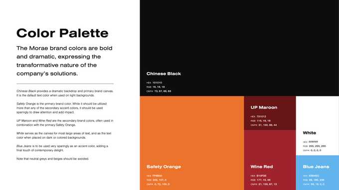Color pallete in Brand Guidelines for Morae